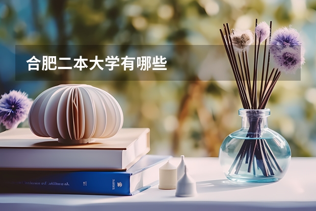 合肥二本大学有哪些