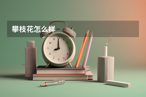 攀枝花怎么样