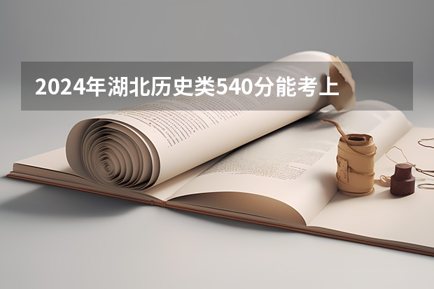 2024年湖北历史类540分能考上什么大学?