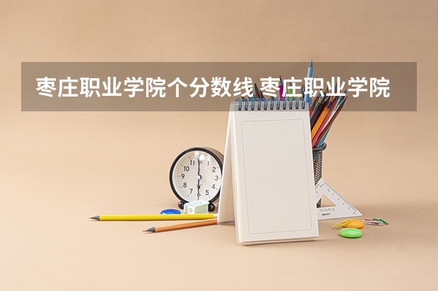 枣庄职业学院个分数线 枣庄职业学院录取分数线