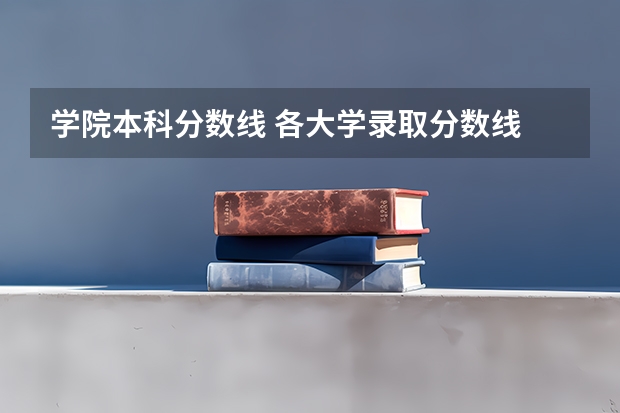 学院本科分数线 各大学录取分数线