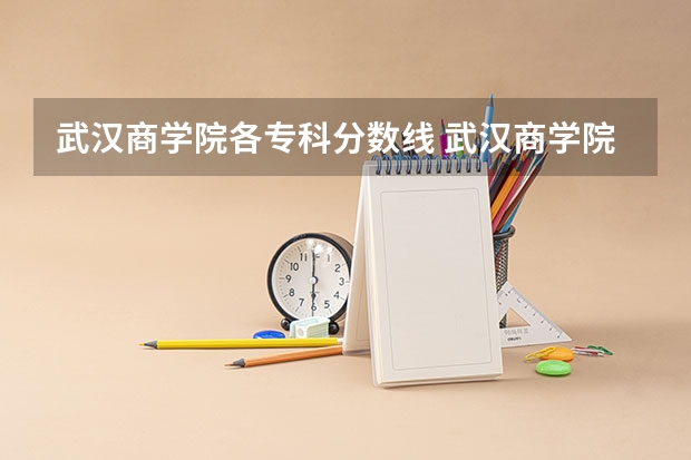 武汉商学院各专科分数线 武汉商学院二本分数线
