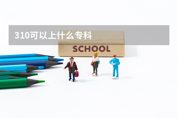 310可以上什么专科