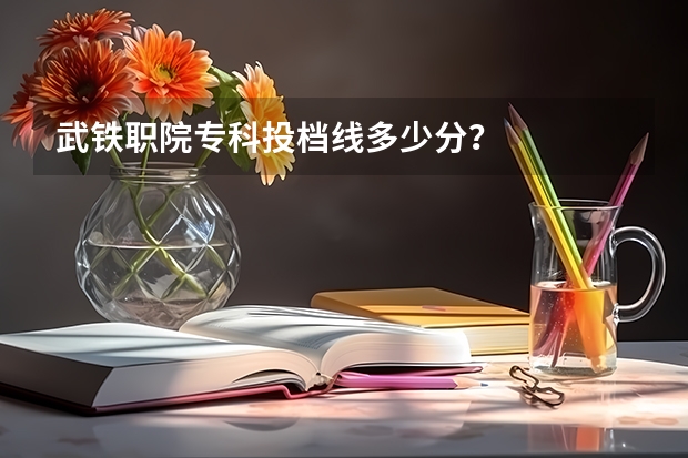 武铁职院专科投档线多少分？