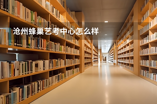 沧州蜂巢艺考中心怎么样