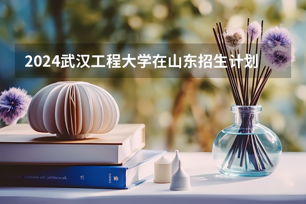 2024武汉工程大学在山东招生计划 招生人数