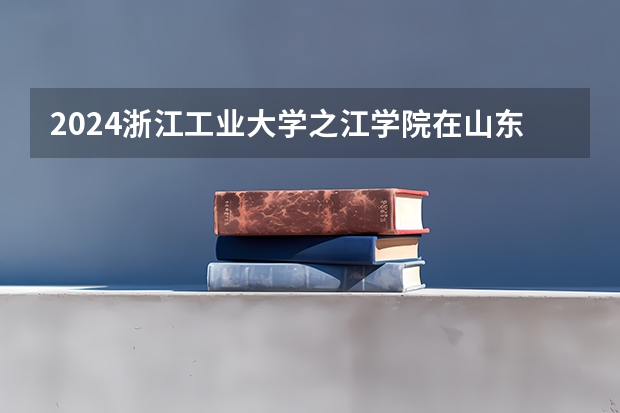 2024浙江工业大学之江学院在山东招生计划 招生人数