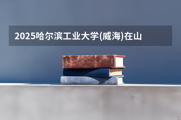 2025哈尔滨工业大学(威海)在山东招生计划 招生人数预测