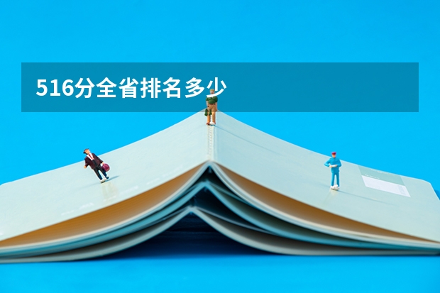 516分全省排名多少