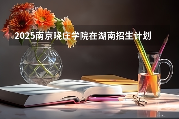 2025南京晓庄学院在湖南招生计划 招生人数预测