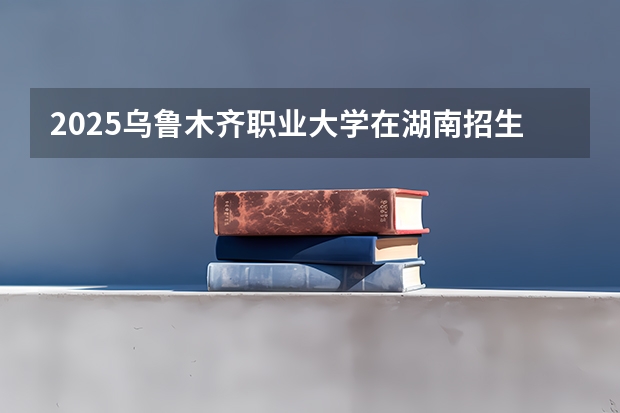 2025乌鲁木齐职业大学在湖南招生计划 招生人数预测