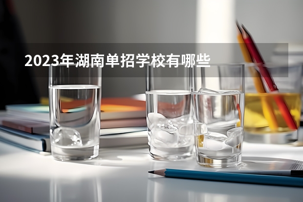 2023年湖南单招学校有哪些
