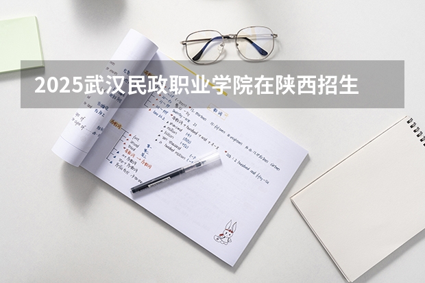 2025武汉民政职业学院在陕西招生计划 招生人数预测
