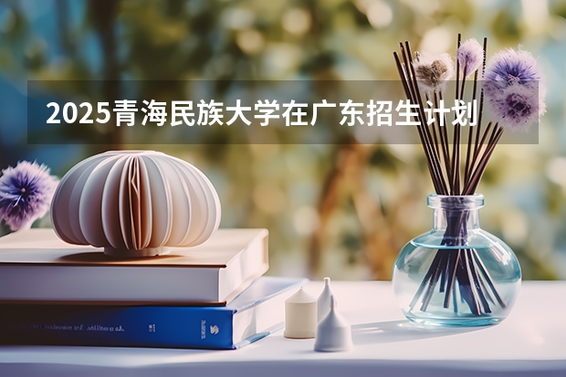 2025青海民族大学在广东招生计划 招生人数预测