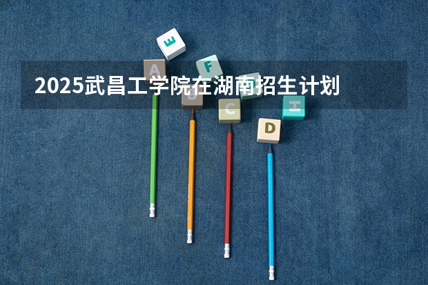 2025武昌工学院在湖南招生计划 招生人数预测
